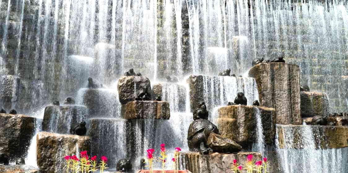 Discover location header image